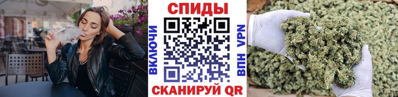 закладка  Чегем  БУТИРАТ буратино 