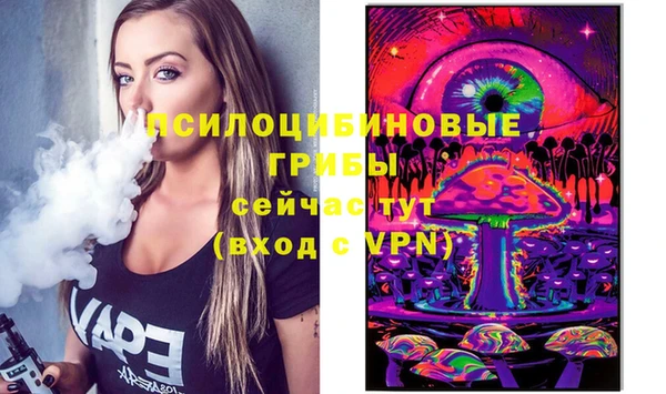 гидра Богородск