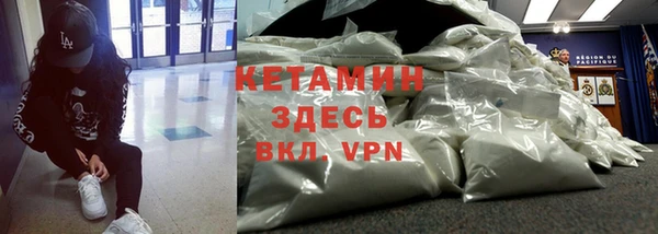 хмурый Белокуриха