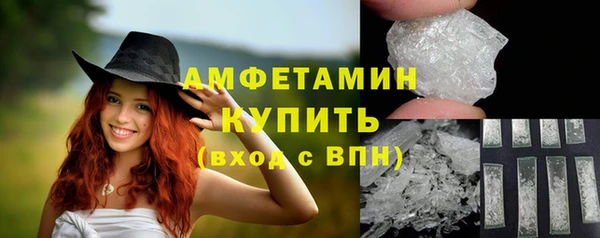 хмурый Белокуриха