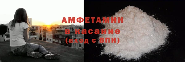 хмурый Белокуриха