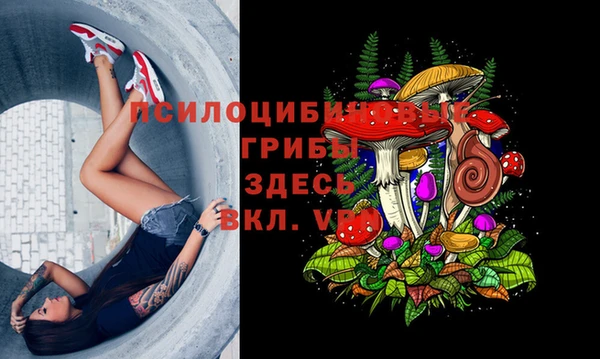 а пвп мука Богородицк