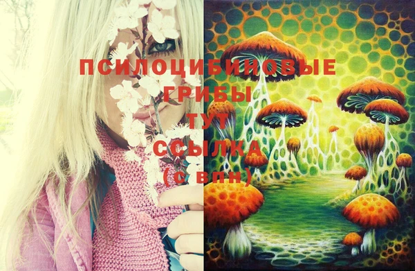 хмурый Белокуриха