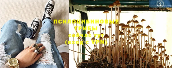 первитин Заволжск