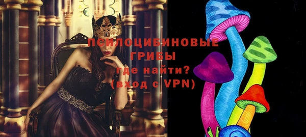 дмт Арсеньев