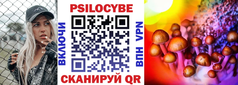 Галлюциногенные грибы прущие грибы  blacksprut рабочий сайт  Чегем 
